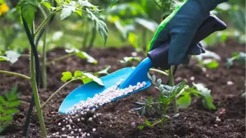 الأسمدة المدعمة