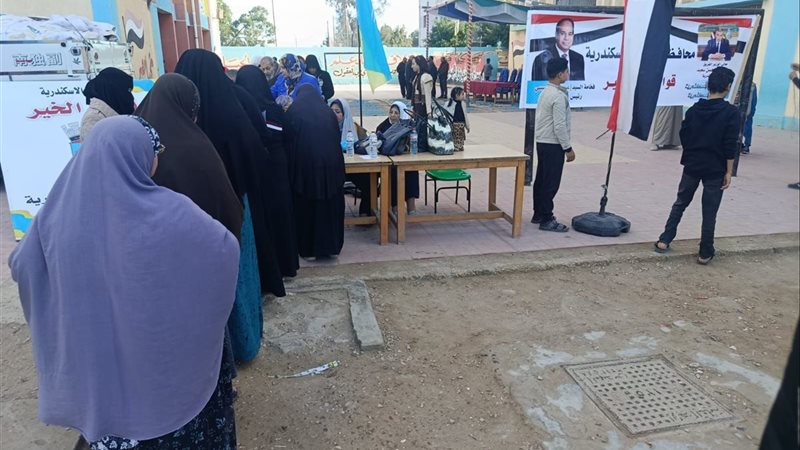 الاسكندريه 