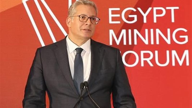 المهندس كريم بدوي،