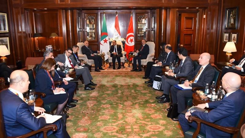 وزير الخارجية المصري