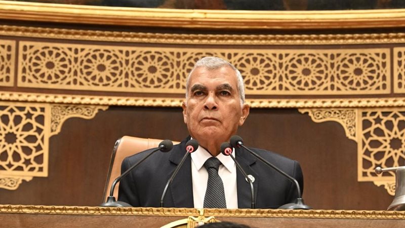 المستشار عصام الدين