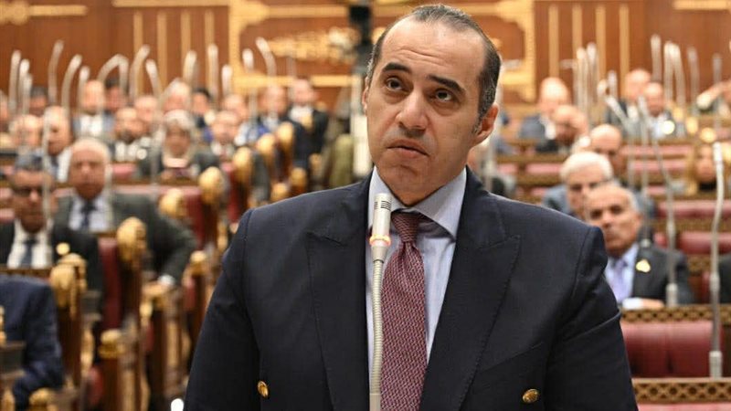 المستشار محمود فوزي