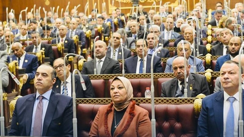  المستشار محمود فوزي