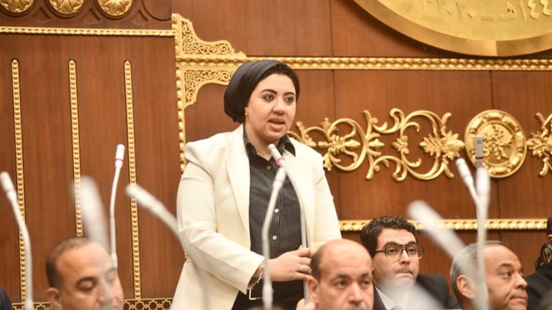 النائبة أميرة صابر،