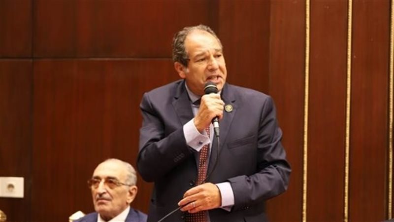  النائب حسام الخولي