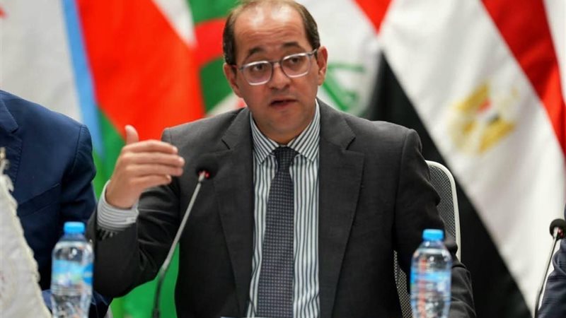 وزير المالية