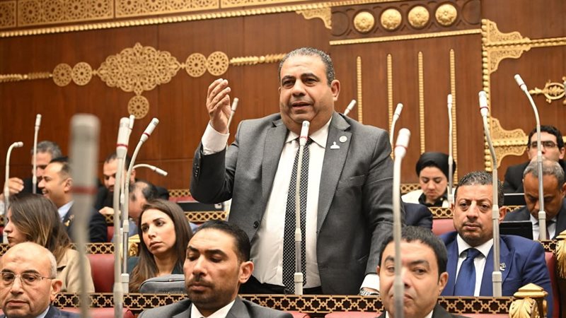 النائب أيمن الصفتي