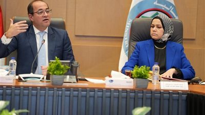 المالية: نعالج تحديات عديدة بصورة مؤثرة يشعر بها المجتمع الضريبي