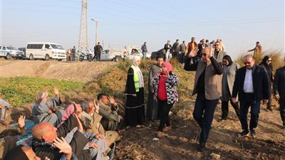 محافظ المنيا يعطي إشارة بدء انطلاق زراعة الذهب الأصفر