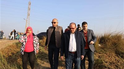 كدواني يشارك حصاد الكمون ويؤكد ريادة المنيا في النباتات الطبية والعطرية