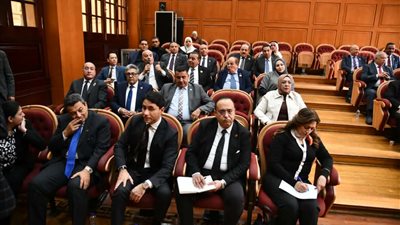 طريق الأقصر – أسوان على طاولة الشيوخ.. تحرك برلماني لدعم السياحة وتيسير تنقل المواطنين