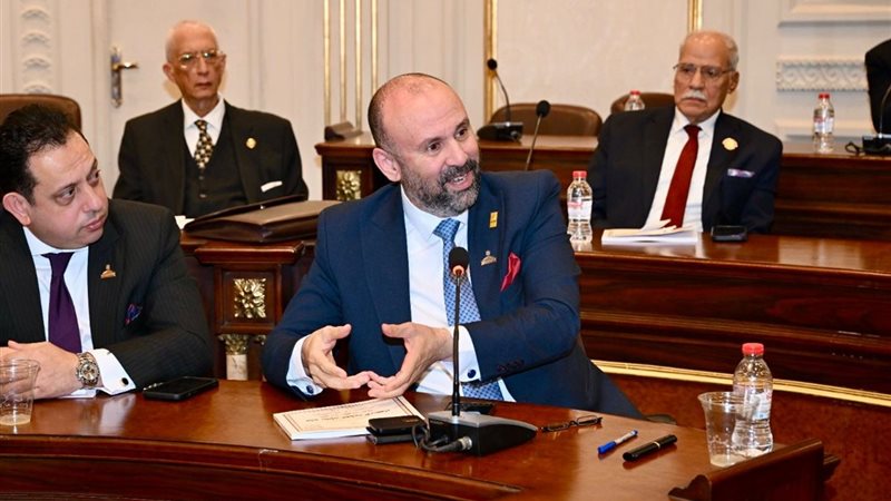 النائب باسم كامل