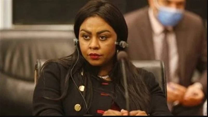 النائبة نيفين حمدي