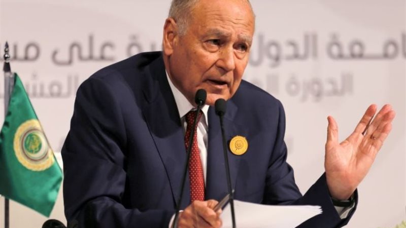 أحمد أبو الغيط