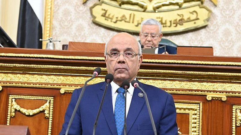 النائب محمد الفيومي