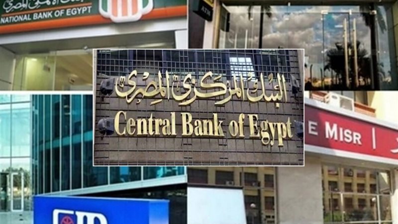 البنوك المصرية 