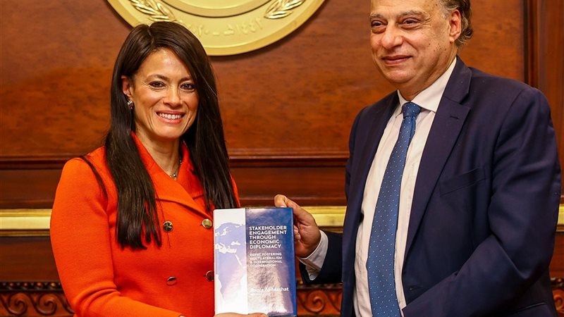 المشاط ورئيس خارجية