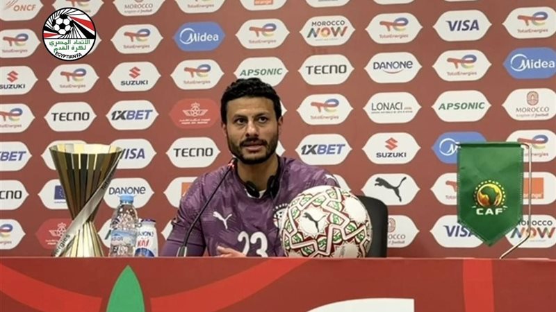 محمد الشناوي 