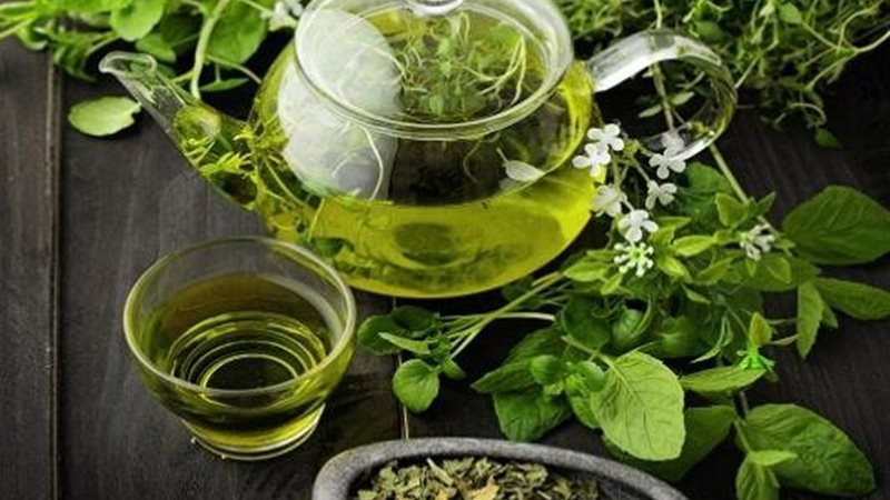 الشاي الاخضر