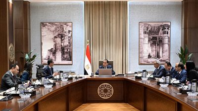 رئيس الوزراء يتابع تعظيم الاستفادة من الأصول المنقولة إلى صندوق مصر السيادي