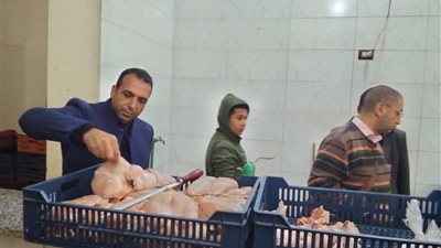 تحرير 255 مخالفة متنوعة وضبط سلع غير صالحة ومجهولة المصدر في المنيا 