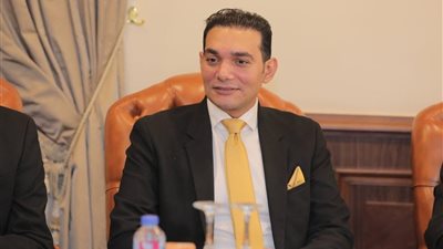 برلماني: دبلوماسية مصر في 2025 أعادت الاعتبار لمنطق الدولة 