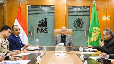 محافظ المنيا يعلن انتهاء جولة الإعادة لانتخابات النواب دون شكاوى