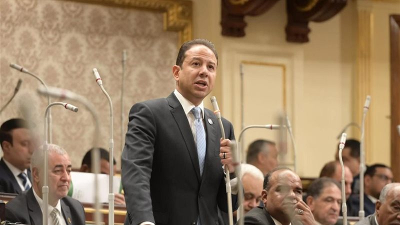 النائب حسن عمار عضو