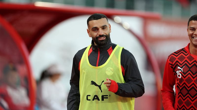 النجم المصري محمد