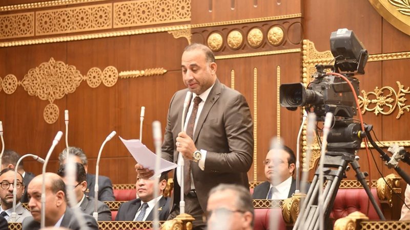 النائب عماد بركات