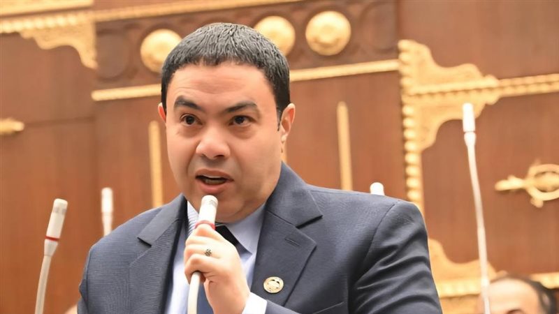  النائب إسماعيل الشرقاوي