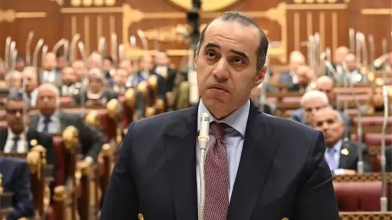 الوزير محمود فوزي،