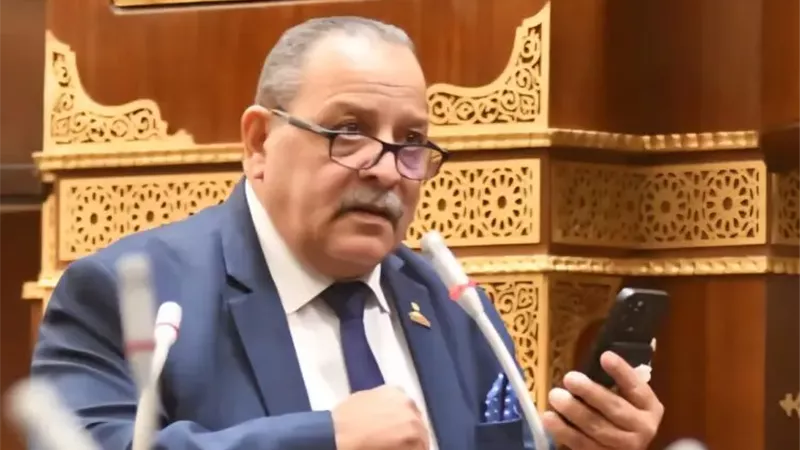 النائب أحمد شعبان