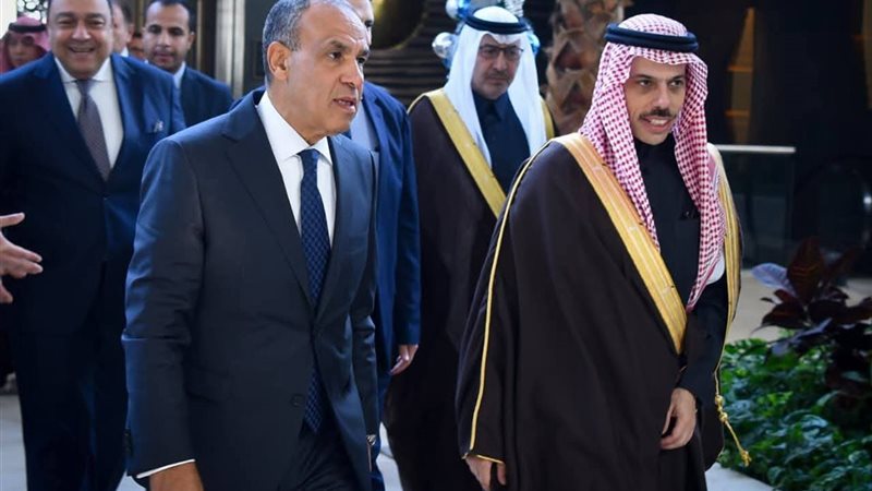 وزير الخارجية ونظيره