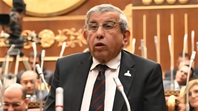 نائب بالشيوخ يطالب بتعديل دستوري: لجنة واحدة استحوذت على 52% من أعمال المجلس