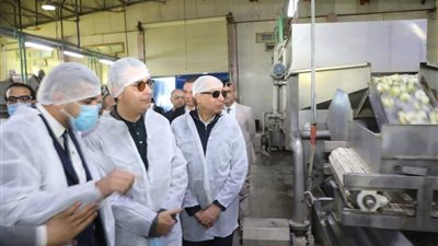 جولة موسعة لوزير التموين ومحافظ المنيا لدعم الأمن الغذائي 