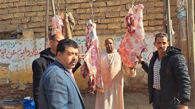 بيطري المنيا: ضبط 252 كيلو لحوم غير صالحة ولحوم مذبوحة خارج المجازر