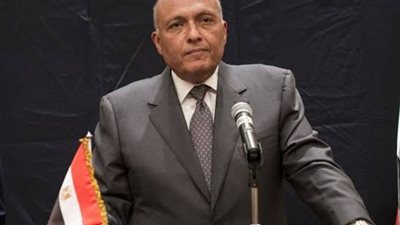 السيسي يعين وزير الخارجية السابق.. تعرف علي السيرة الذاتية للنائب سامح شكري