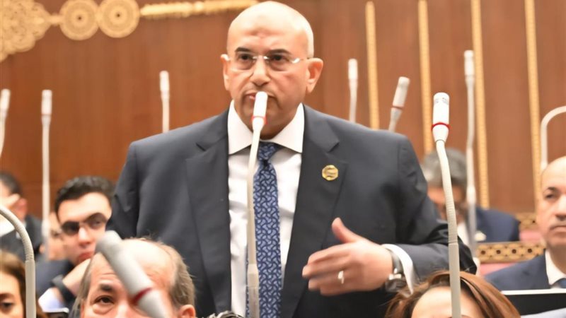 النائب أشرف عبدالغني