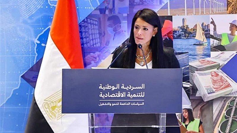 وزيرة التخطيط 