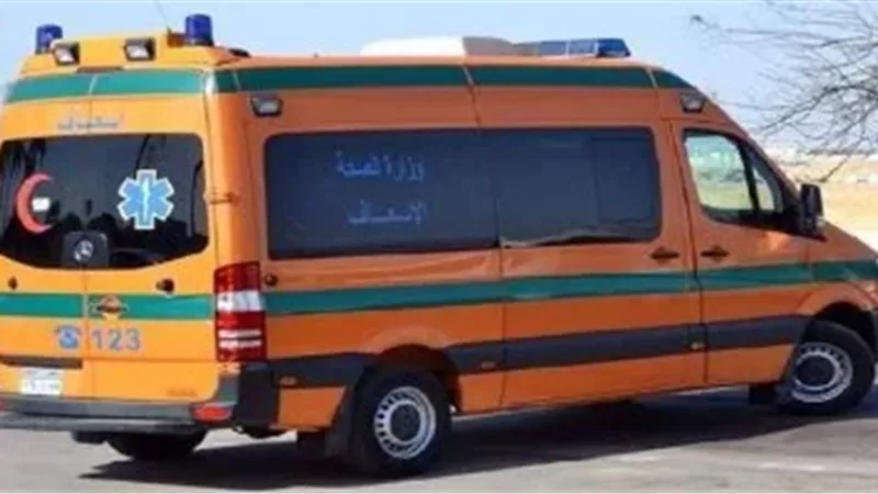 حادث المنيا 