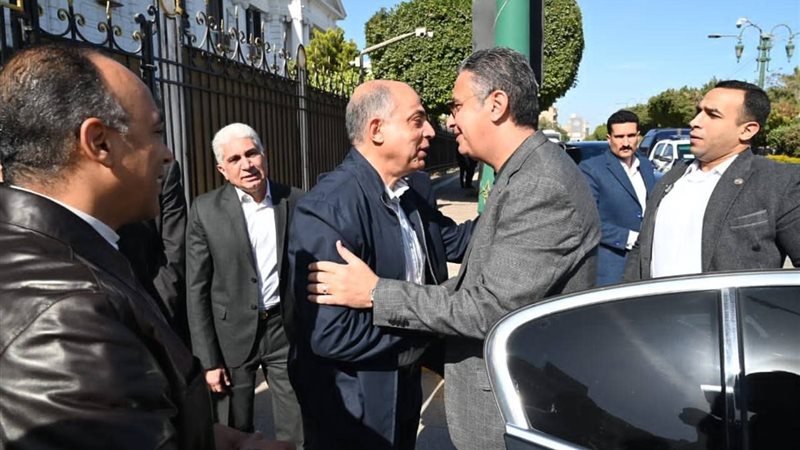 جانب من الاستقبال