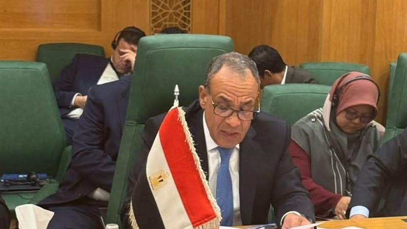 وزير الخارجية 