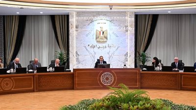 رئيس الوزراء يتابع موقف مشروع إنتاج الهيدروجين الأخضر بالمنطقة الاقتصادية لقناة السويس