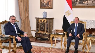 السيسي لكبير مستشاري ترمب: الأمن المائي المصري يمثل قضية وجودية وأولوية قصوى