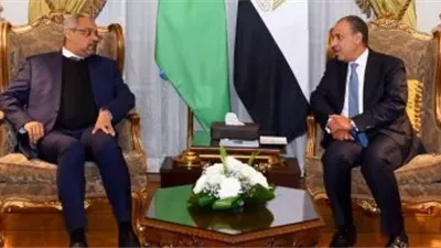 عبد العاطي ونظيره الجيبوتي يبحثان تعزيز التعاون الإقليمي ومشروعات البنية التحتية