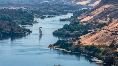 عضو بالشيوخ يطالب الحكومة بخطة عاجلة لمواجهة انتشار ورد النيل وحماية الأمن المائي