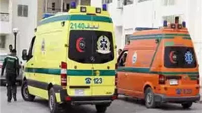 8 مصابين في حادث انقلاب ميكروباص بالطريق الصحراوي الغربي بالمنيا