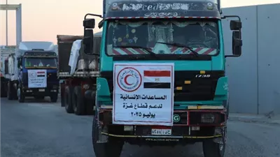 محافظ شمال سيناء: مستمرون في إدخال المساعدات إلى غزة رغم العراقيل