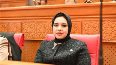 طلب إحاطة عاجل بشأن إلغاء الإعفاء الجمركي والضريبي للهواتف المحمولة الواردة من الخارج